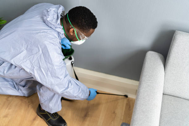 Best Pest Prevention Services  in Springfield, SD